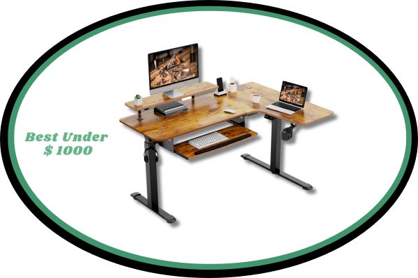 EUREKA ERGONOMIC L Shaped Standing Desk