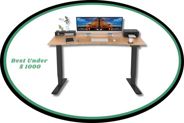 FLEXISPOT Bamboo 3 Stages Dual Motor Electric Standing Desk 