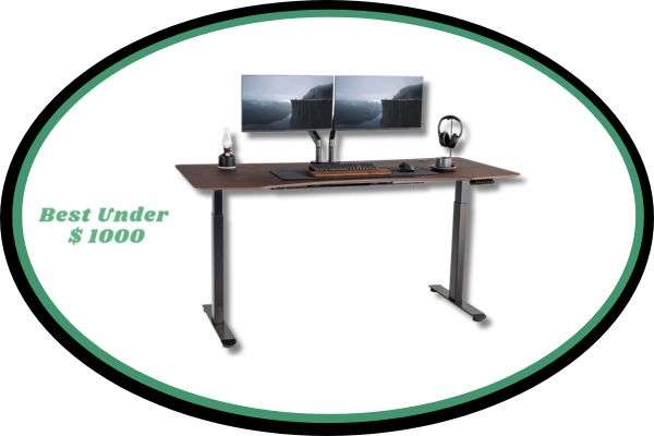 FinerCrafts Home Office Adjustable Standing Desk