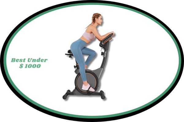 Niceday Magnetic Resistance Upright Exercise Bike