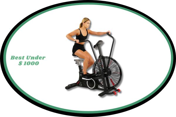 Sunny Health & Fitness Air Bike Fan Exercise Bike