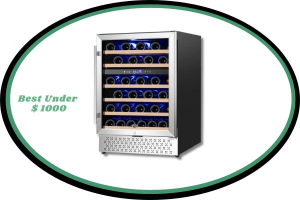 Tylza 24 Inch Built-in Wine Cooler