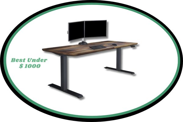 Vari Electric Electric Height Adjustable Standing Desk
