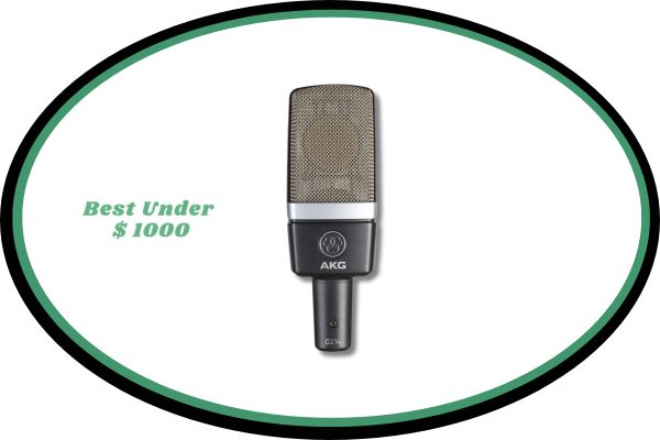 AKG Pro Audio C214 Professional Large-Diaphragm Condenser Microphone