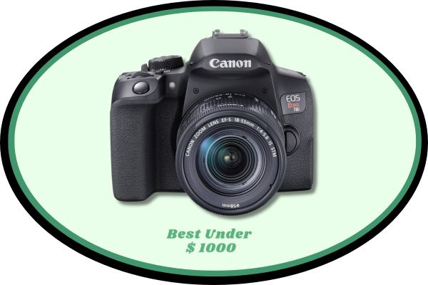 Canon EOS Rebel T8i EF-S 4K DSLR Camera